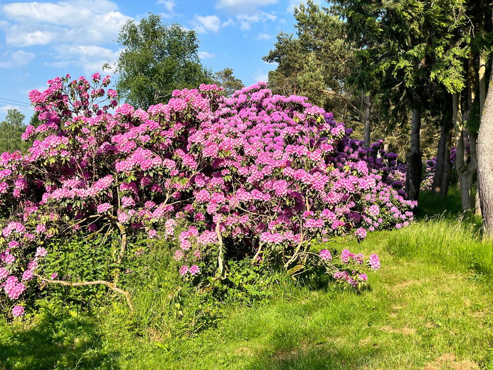 23-06-03 17-42-31 5830